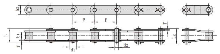 <font color='red'>c2100</font>H_C220AH 雙節(jié)距輸送鏈